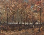 Vincent Van Gogh Lane with Poplars (nn04) oil painting artist